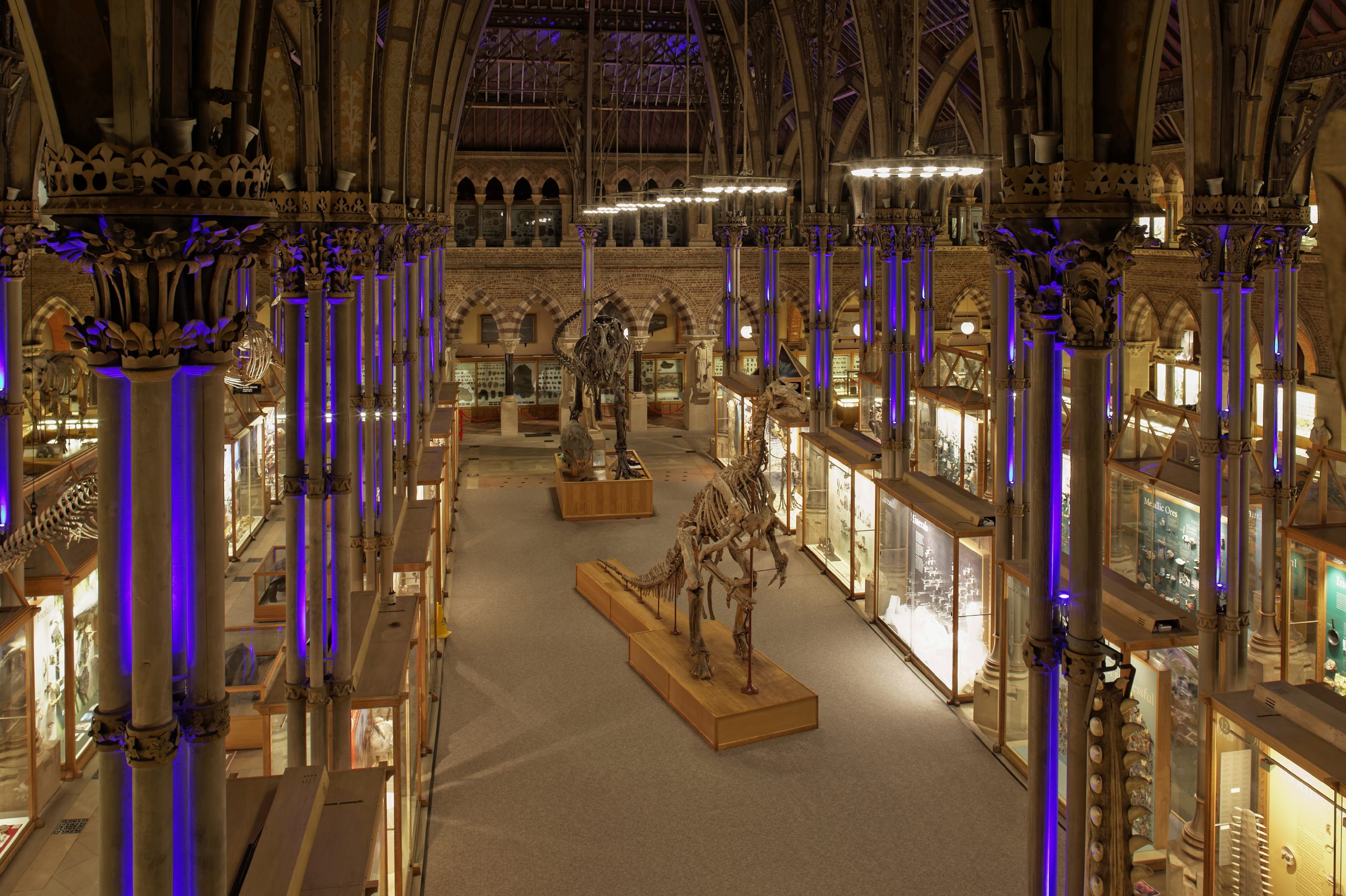 Natural-History-Museum-Oxford-58-scaled
